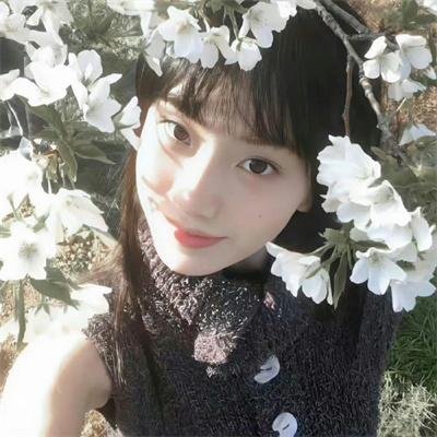 寻找我的白兰度